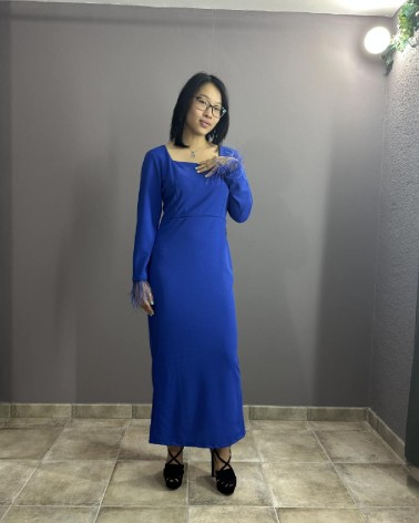 Vestido Largo Azul con Mangas Acabado Plumas